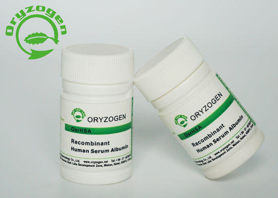 Oryza M/P 65℃ Sativarecombinant HAT Molekulargewicht des Pulver-99% der Reinheits-66.5kD