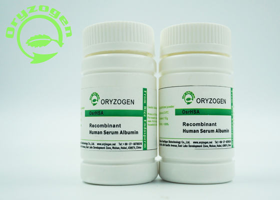 Die hohe Recombinant biologische Aktivität LÄSST Zellkultur IPS-Zellundifferenzierten Zustand halten