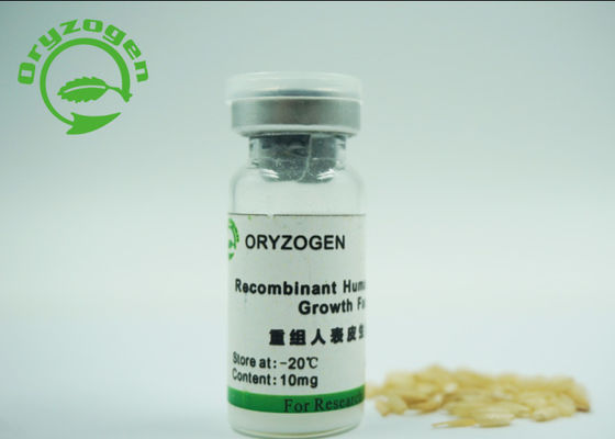Niedriger Endotoxin-Recombinant menschlicher epidermialer Wachstumsfaktor-weißer freier Gelenkkörper