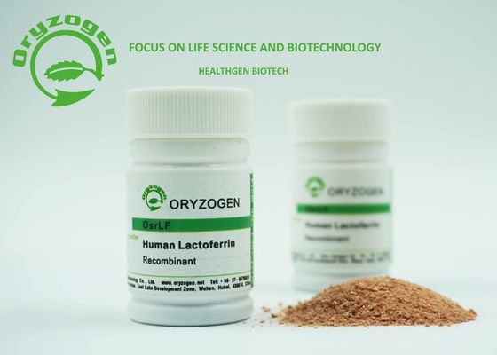 Anlage leitete Recombinant menschliches Laktoferrin WENN für Steuerf.e.-Konzentration ab