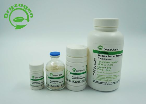 Stammzelle-Kultur-HAT Recombinant menschliches Blut-Serum-Albumin fast kein Endotoxin