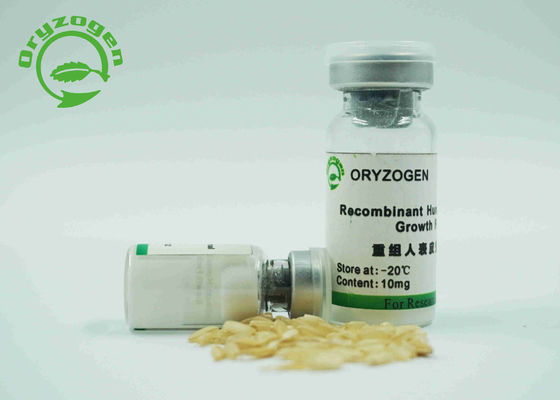 Hoher Reinheitsgrad Recombinant EGF stellen Faktor bei nicht- Tierkomponente für Xeno - freiem Medium dar