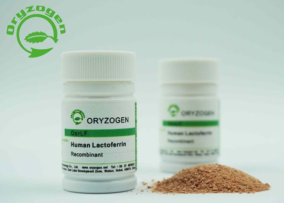 Tierfreies Recombinant Teillaktoferrin-rötlich braunes loses Pulver 2-8 ℃ Storaged
