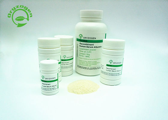 Recombinant Oryzogen HAT vom Reis-Korn hat gute Reihen-Übereinstimmung 70024-90-7