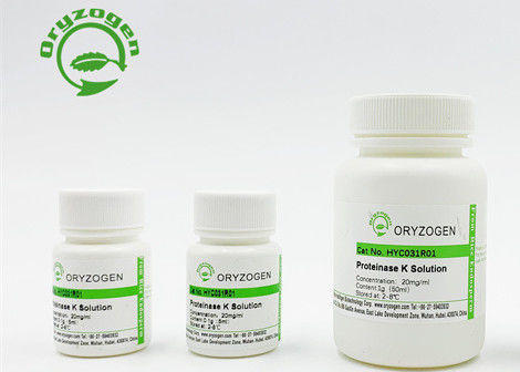 1g 10g 50g 100g Reagens der hohen Qualität der Paket-Recombinant Proteinase-K Labor