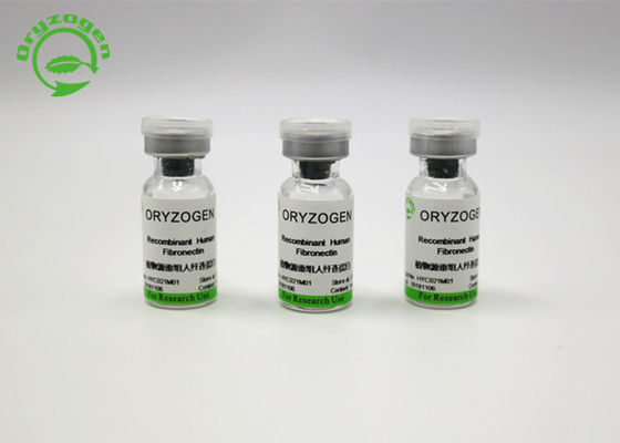 Tierfreier hoher Teilreinheitsgrad Recombinant Fibronectin F-N vom Oryza Sativa