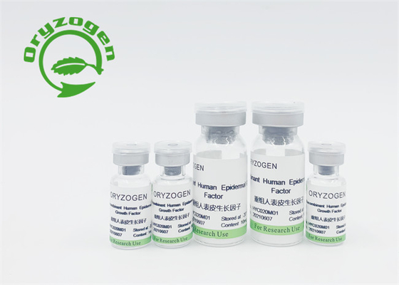 Hoher Reinheitsgrad EGF lyophilisierte Pulver ISO 9001 bescheinigte für Schönheitspflege