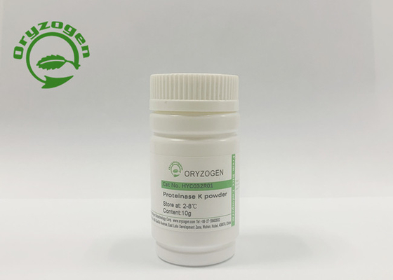 Hefe leitete Recombinant Auszug-Nukleinsäure der Proteinase-K ab