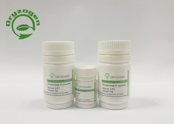 Größer als 30 U-/Mgtätigkeits-Recombinant Proteinase K für neuen Coronavirus-Test