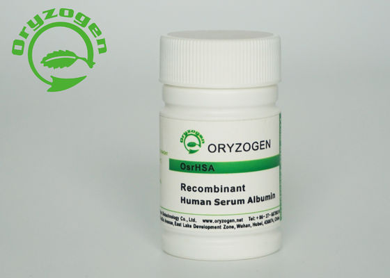 Weiß, beige Recombinant HAT zu beleuchten tierische freie Komponente M/P 65℃
