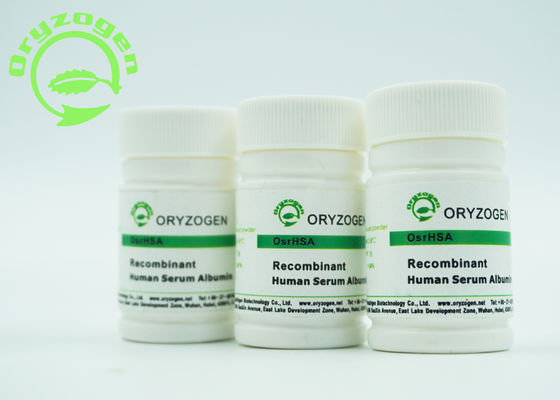 Weiß, das beige lyophilisierte Pulver HAT zu beleuchten, das Recombinant ist, bescheinigte ISO