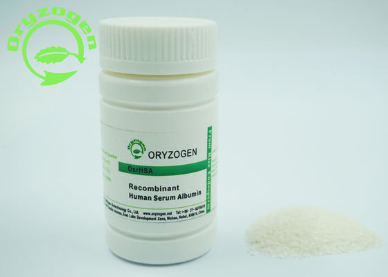 Lyophilisiert pulverisieren Sie Recombinant Humanalbumin-Licht-beige Farbe 6.4-7.4 pH