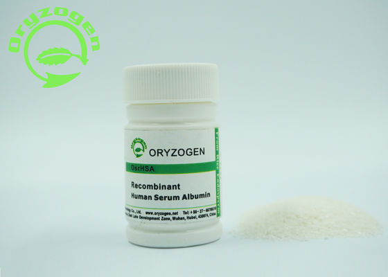 Größer als Recombinant 99% Reinheit HAT rHSA gefriertrockneten Pulver 4,8 PU