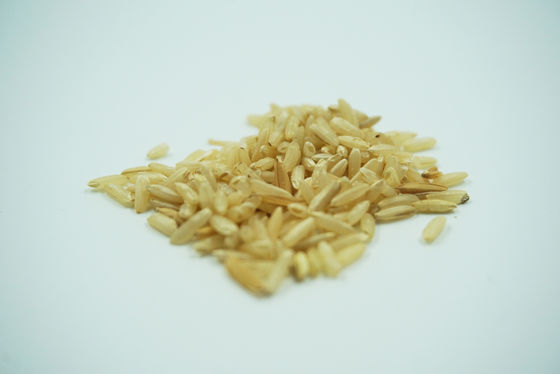 Reis-Endosperm-Besondere drückte Recombinant Humanalbumin-Protein HAT ohne irgendein Schadstoff-Risiko aus