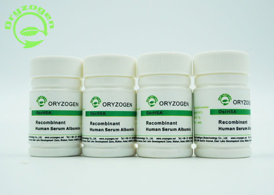 Oryza Sativarecombinant HAT gefriertrocknet, Protein des Humanalbumin-zu pulverisieren molekulares Massen66.554kd