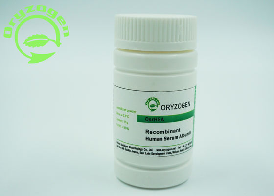 Oryza Sativarecombinant HAT gefriertrocknet, Protein des Humanalbumin-zu pulverisieren molekulares Massen66.554kd