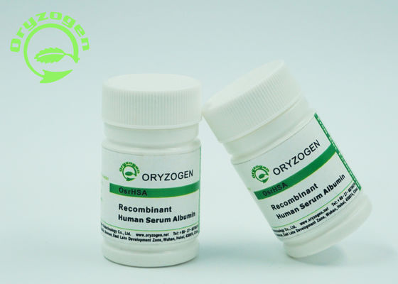 Bindemittel-Grad-tierisches freies Recombinant menschliches Serum-Albumin rHSA für Impfforschungs-Bindemittel