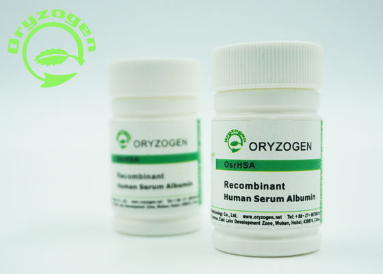Anlage abgeleitetes Recombinant HAT Zellkultur für Stammzelle-Forschung HAT Protein-Pulver