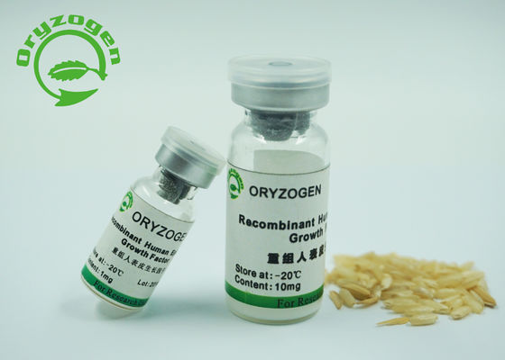 Wachstumsfaktor-Hefe-Ursprung 6.3kD Recombiannt epidermialer für Zellkultur