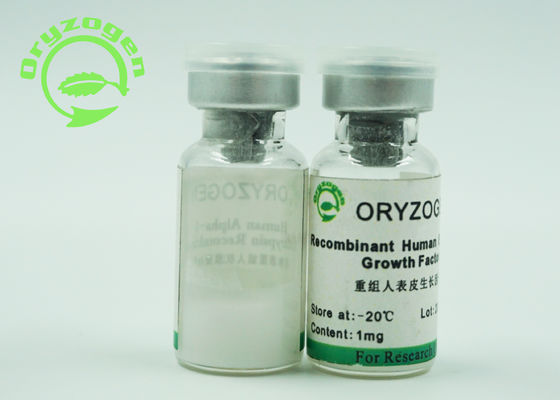 Epidermialer Wachstumsfaktor-weißes lyophilisiertes Pulver EGF mit Endotoxin kleiner als 1,0 EU/Magnesium