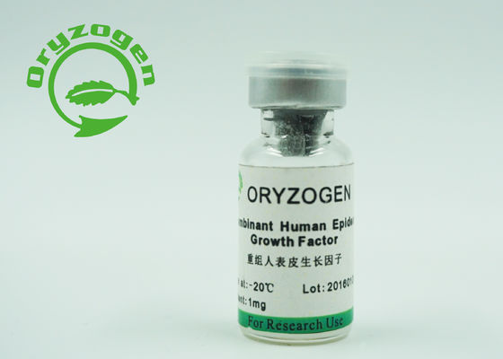 Leitete menschliche epidermiale Hefe CASs 62253-63-8 Wachstumsfaktor-EGF nicht- Tierkomponente ab