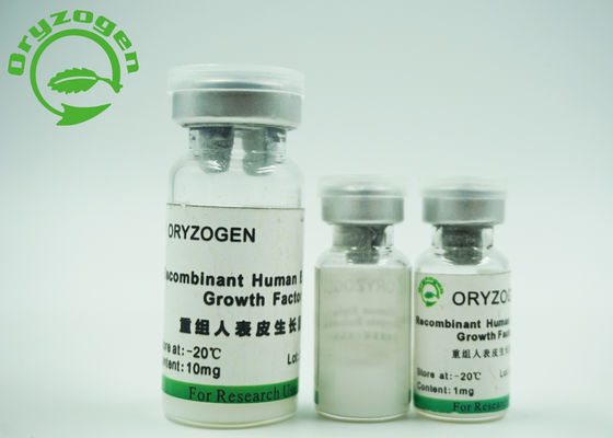 Hefe leitete EGF die epidermiale gespeicherte Temperatur der Wachstumsfaktor-Hautpflege--20℃ ab
