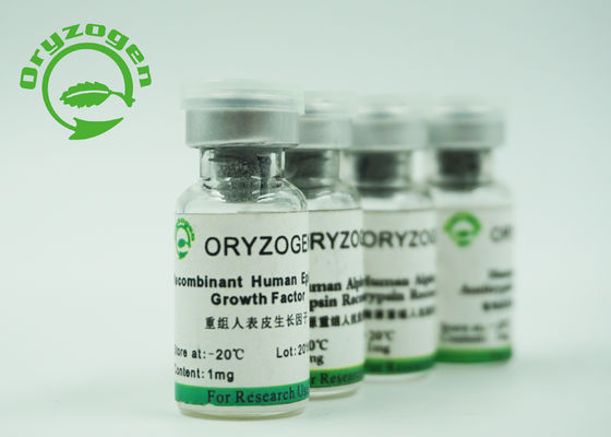98% Reinheit Recombinant EGF lyophilisierte Pulver-weißes Molekulargewicht 6.3Kd