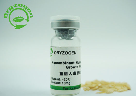 53 lyophilisierte Recombinant epidermialer Wachstumsfaktor der Aminosäure-6.3kD des Wachstumsfaktor-EGF mit Mannit-Stabilisator