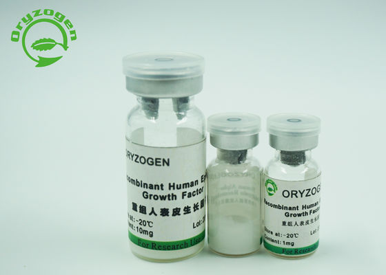 Gefriertrockneter Protein-epidermialer Wachstumsfaktor Egf für Haut-Kosmetik 1Ng/ml ED50
