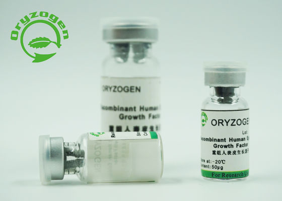Reinheit des hohe Bioaktivitäts-erneuern menschliche Recombinant epidermiale Wachstumsfaktor-EFG 98% für Haut,/Reparatur