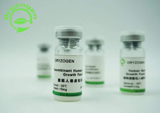 Reinheit SDS-PAGE des hohe Bioaktivitäts-bestimmte Recombinant menschliche epidermiale Wachstumsfaktor-EGF des Wachstumsfaktor-98%