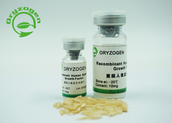 6.3kD drückte epidermialer Wachstumsfaktor EGF von der Hefe aus