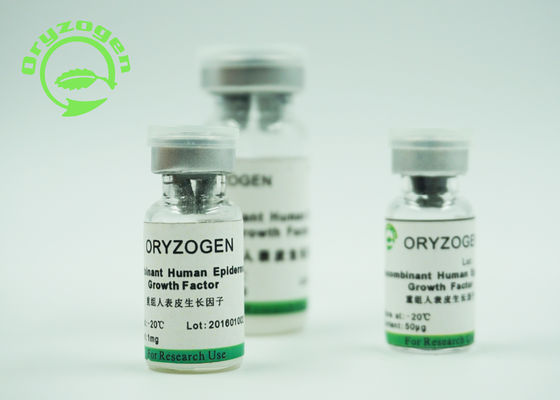 Recombinant menschliche epidermiale Wachstumsfaktor 1 × 10^6 Unitis/Magnesium Bioaktivität durch Probe Balb/C 3T3 Zell