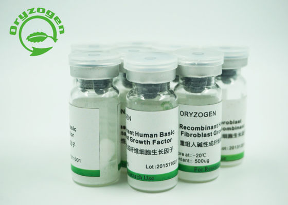 Reis-Korn menschliches bFGF gefriertrocknete Pulver mit Endotoxin kleiner als 1 EU/ug