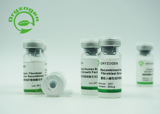 Recombinant Protein bFGF Faktor Oryza extrahiertes Sativa-20℃ Storaged