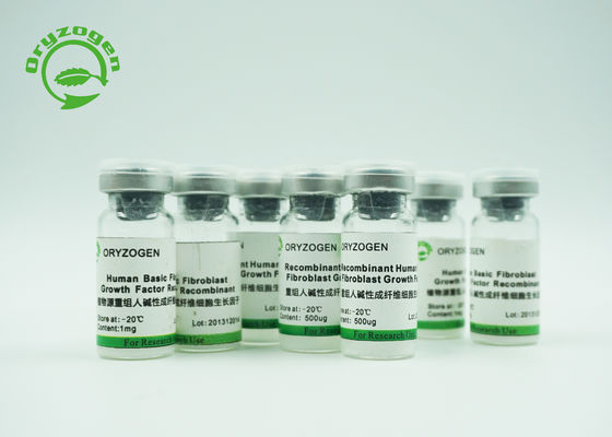 Schönheitspflege bFGF Wachstumsfaktor Recombinant menschlicher Oligopeptide 2