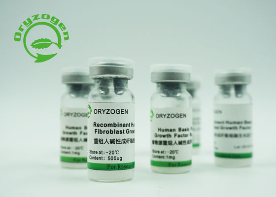 Hohe Bioaktivitäts-Recombinant grundlegender Fibroblast-Wachstumsfaktor BFGF für Kosmetik