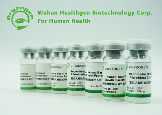Hohe Bioaktivitäts-Recombinant grundlegender Fibroblast-Wachstumsfaktor BFGF für Kosmetik