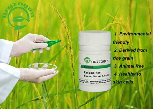 Heller beige Recombinant menschlicher anti- alternder organischer Betriebsursprung des Serum-Albumin-66.5kD