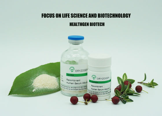 Hohe Bioaktivitäts-Protein-Albumin-Hautpflege lyophilisierte OsrHSA mit salzigem