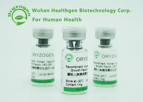 Zellkultur-Grad Recombinant IGF 1 langes R3 lyophilisierte Pulver für Xeno - freies Medium