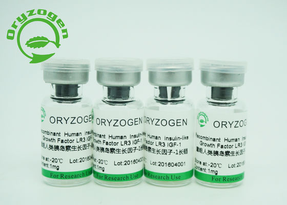 Langer Wachstumsfaktor R3 größer als 90% Reinheits-Recombinant IGF 1, der Zellwachstum fördert