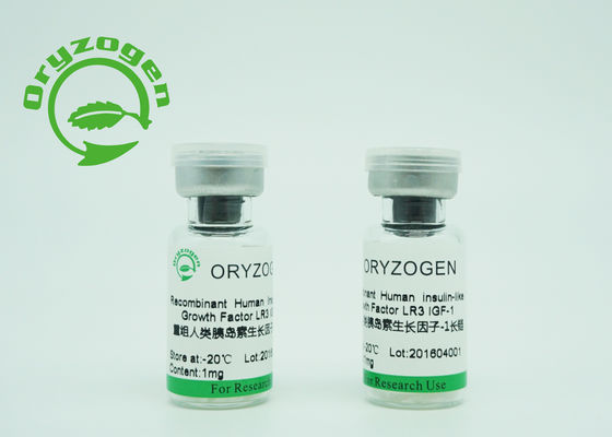 Lange R3 lyophilisierte größer als 90% Reinheit des Hefe-Ursprungs-Recombinant IGF 1 für Serum - freies Medium