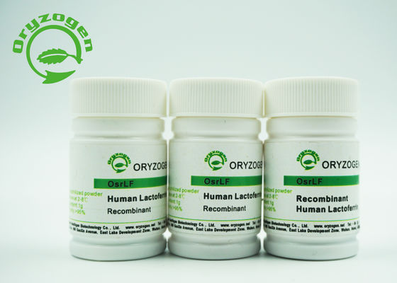 Recombinant menschliches Laktoferrin des Protein-80KD keine Tierkomponente für Kosmetik