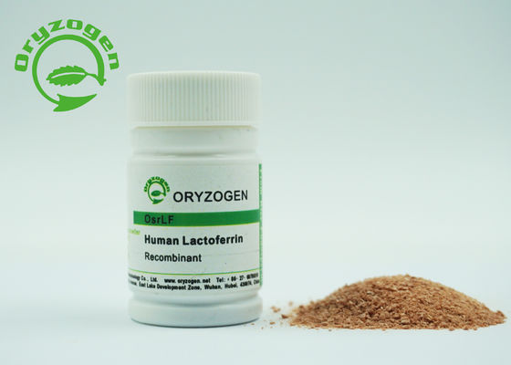 Recombinant menschliches Laktoferrin des Protein-80KD keine Tierkomponente für Kosmetik