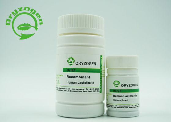 Zellkultur-Recombinant menschliches Laktoferrin-Transport-Eisen, das Zellwachstum fördert