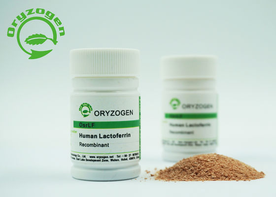 Lyophilisiert pulverisieren Sie Molekulargewicht des Recombinant menschliches Laktoferrin-niedriges Endotoxin-80Kd