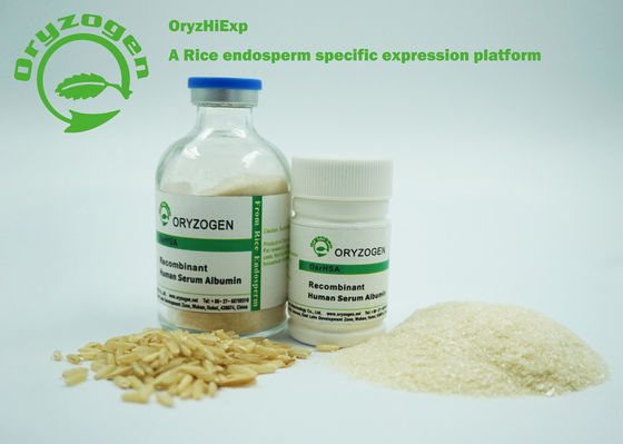 CAS 70024-90-7 Recombinant HAT 66.550KD, das ohne Stabilisator oder Tensid lyophilisiert wird