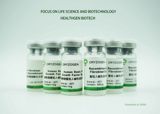 ISO bescheinigte rbFGF Wachstumsfaktor Oryza-Sativaursprung