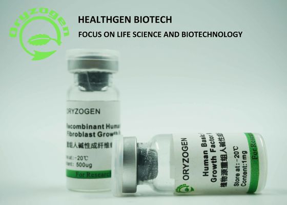 Molekulargewicht Reis-Korn-Ursprung Recombinant bFGF Wachstumsfaktor-17KD